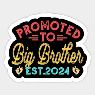 Promoted To Big Brother 2024  Father's Day Sticker